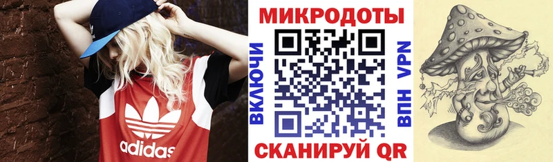 Галлюциногенные грибы Cubensis  Лаишево 
